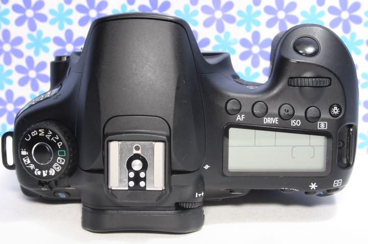 定番低価 極美品❤️Canon 60D❤️超高画質❤️初心者おすすめ❤️ JBnrI-m96065784137 EOS 安い在庫
