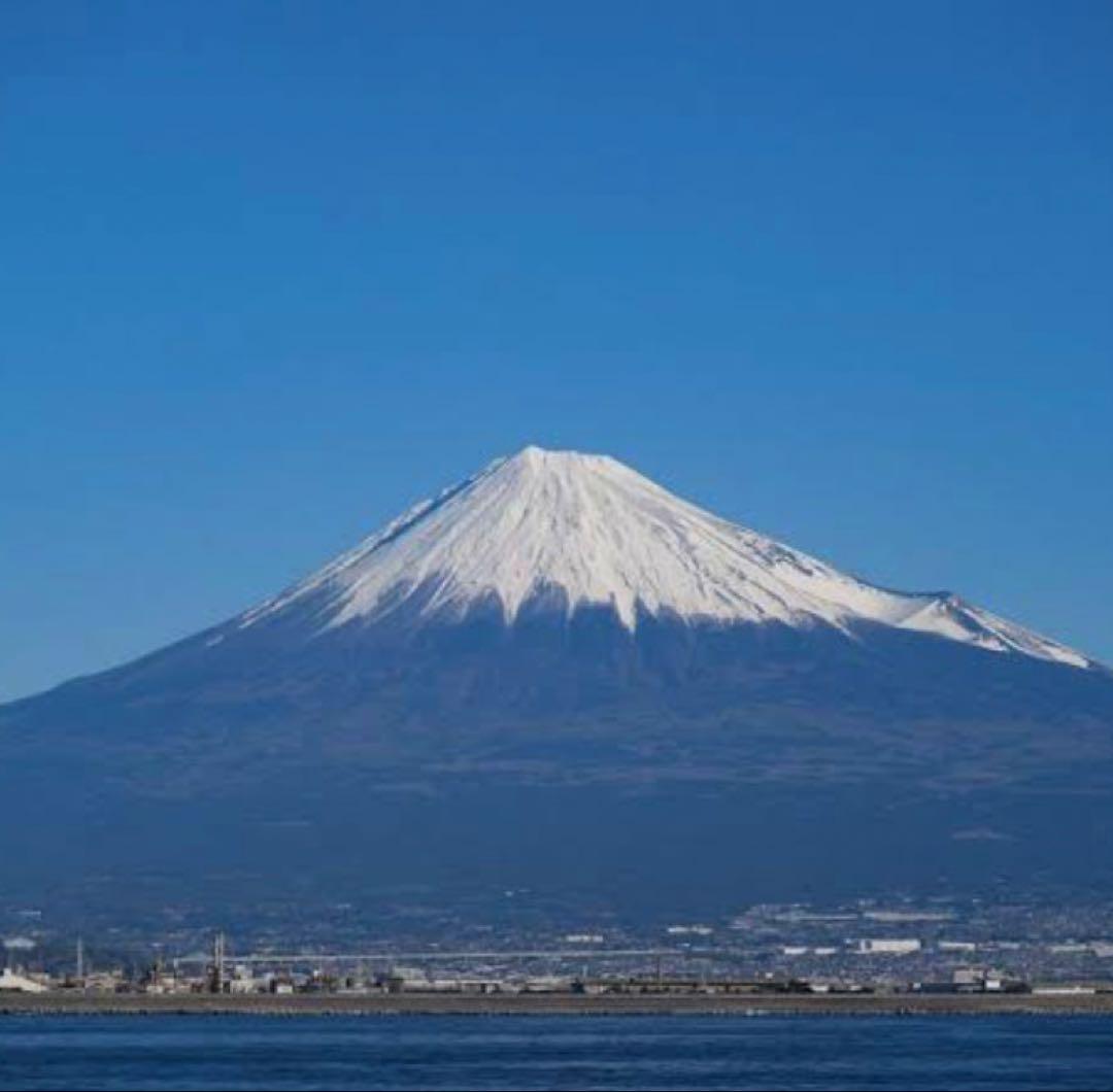 セリ様専用