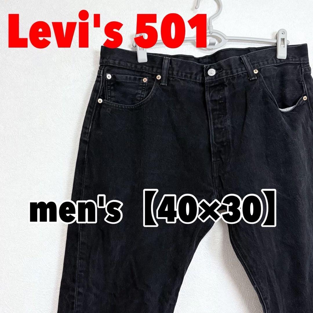 A490 【Levi