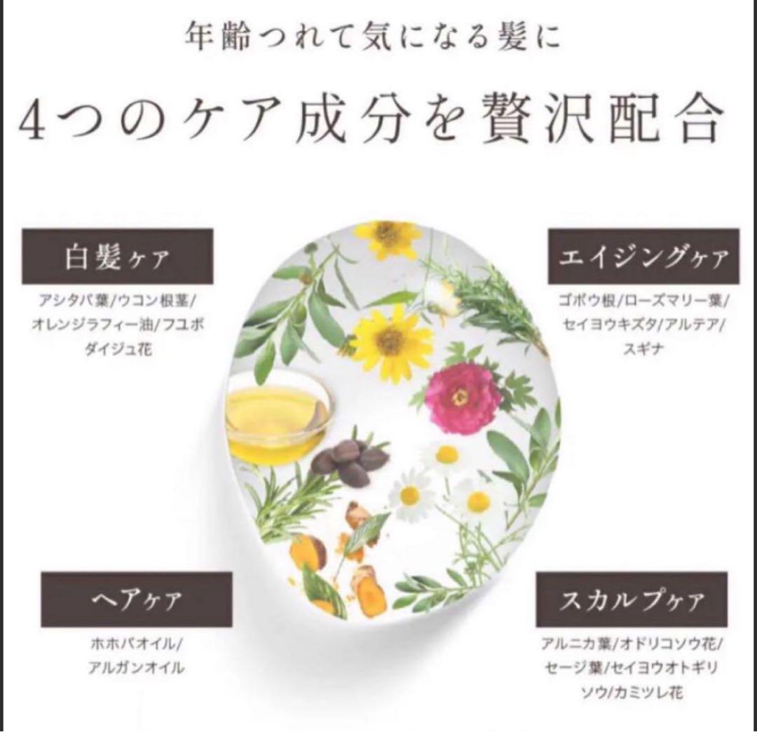 【マイナチュレ】オールインワン ヘアカラー トリートメント ブラウン 白髪染め