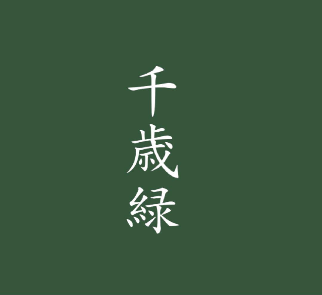 正絹　絽　夏着物　裄70 大きいサイズ　色無地　身幅広