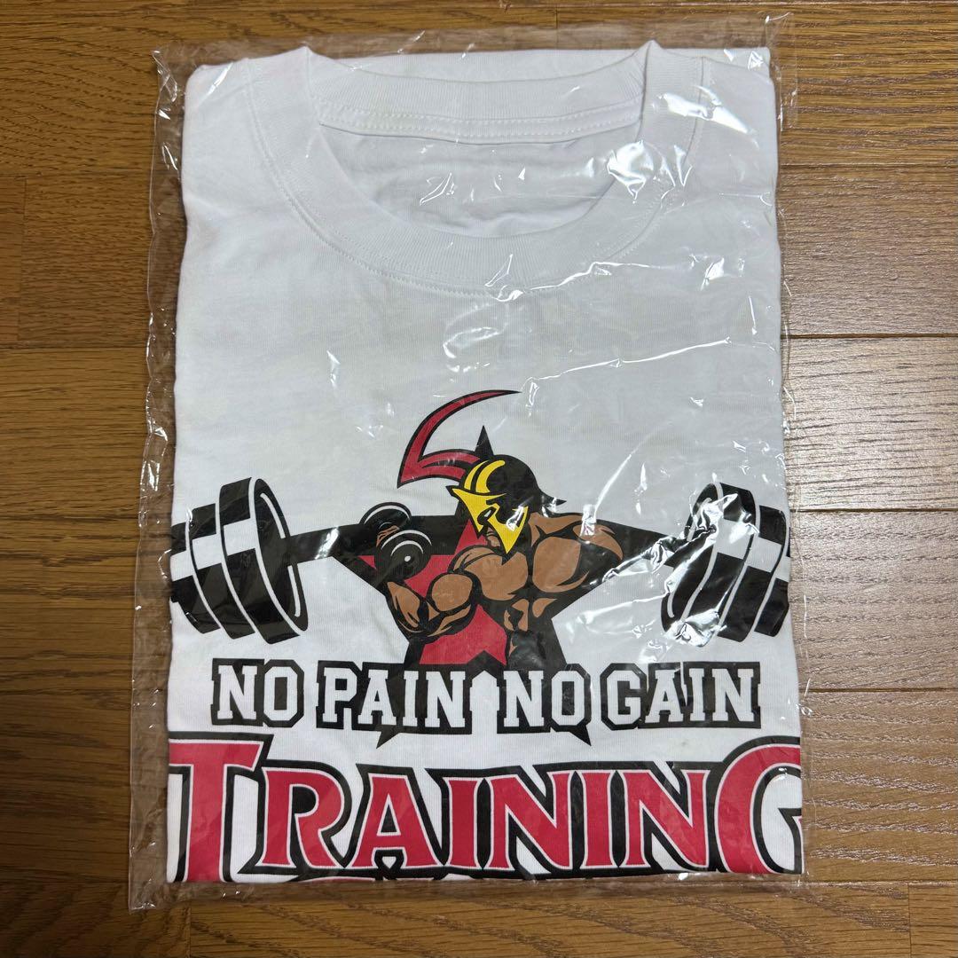 【非売品！】LDH Tシャツ 数原龍友 白濱亜嵐 LDH 非売品 Tシャツ 数原龍友 白濱亜嵐 generations