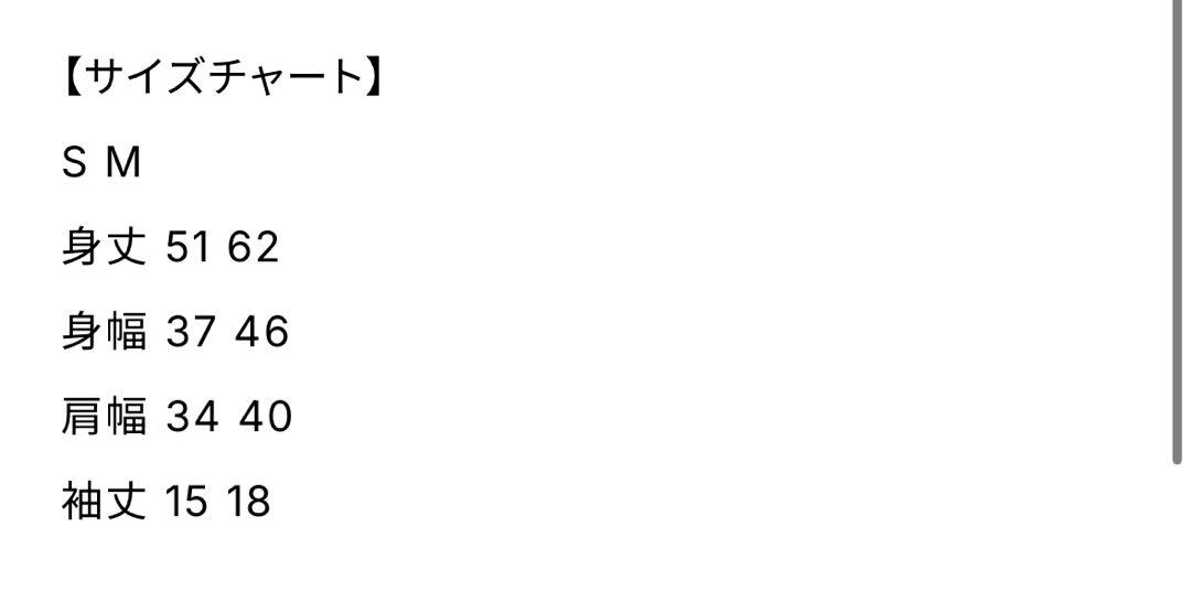 エルテレサ チビT