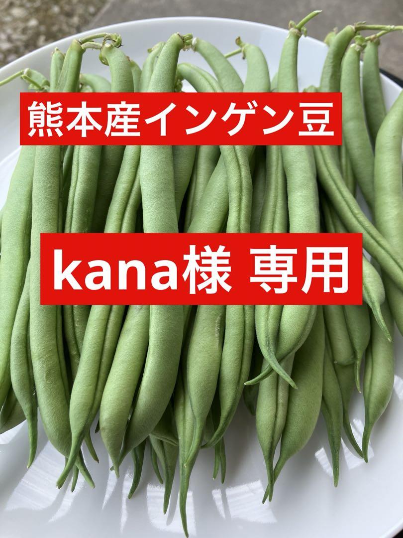 インゲン豆　野菜　農家直送　農薬不使用 インゲン豆 いんげん 野菜 農家直送 農薬不使用 - メルカリ
