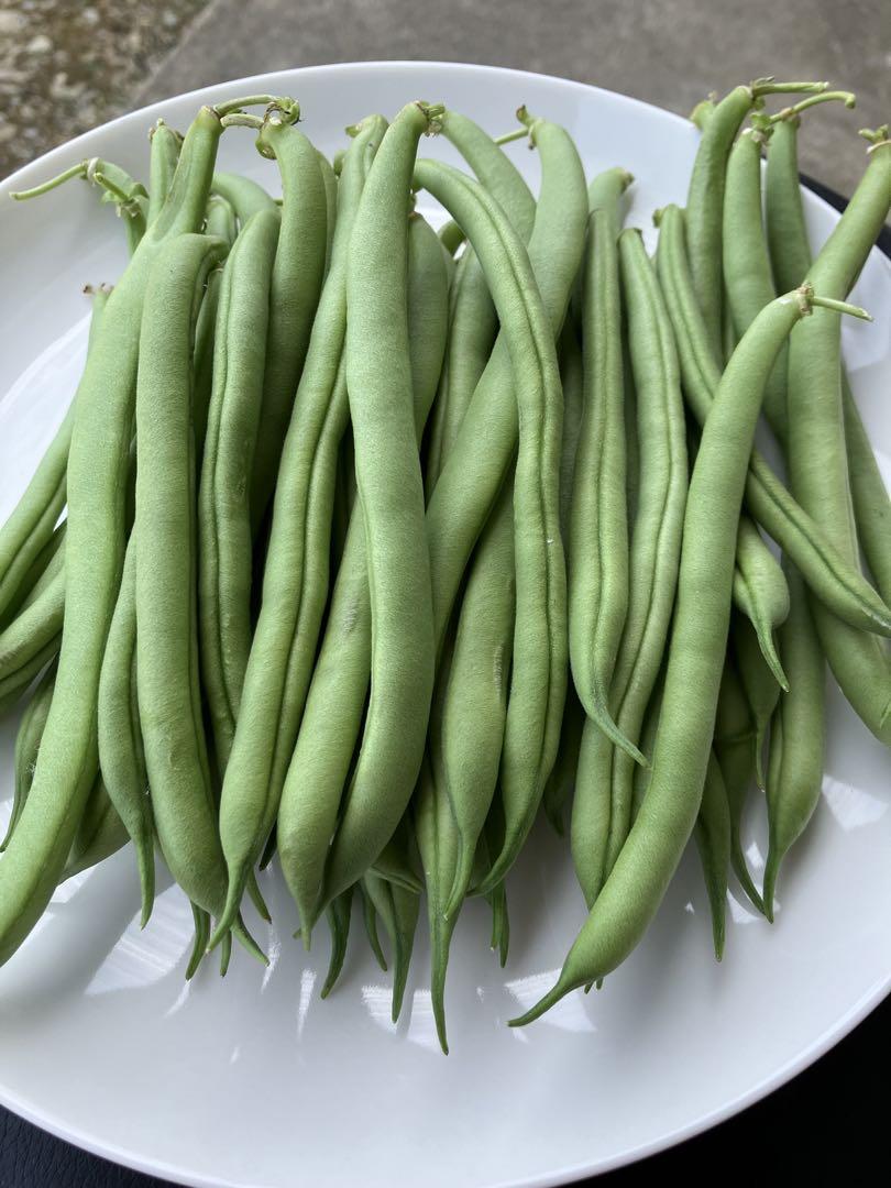 インゲン豆　野菜　農家直送　農薬不使用 インゲン豆 いんげん 野菜 農家直送 農薬不使用 - メルカリ
