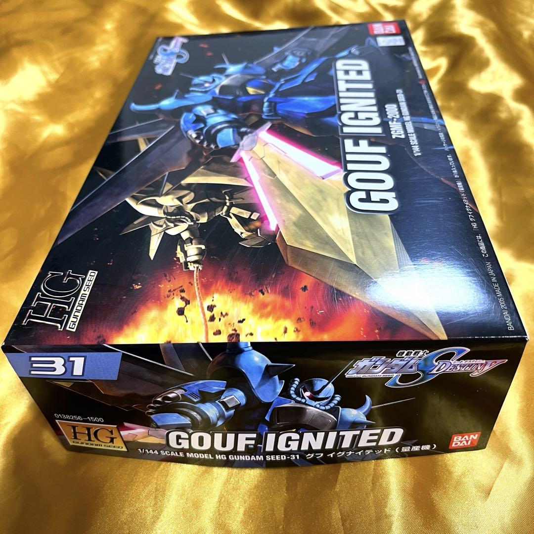 HG グフイグナイテッド 量産型 機動戦士ガンダム SEED DESTINY