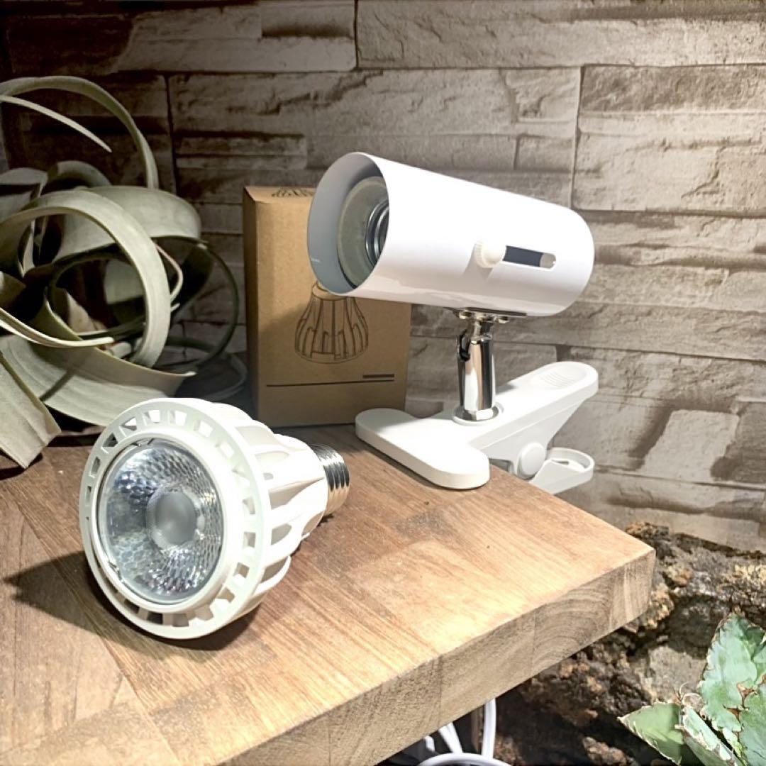 15W植物育成ライトGrowLight PAR20 6000K 4個 Amazon.co.jp: 15W植物育成ライトGrowLight PAR20 6000K 3個