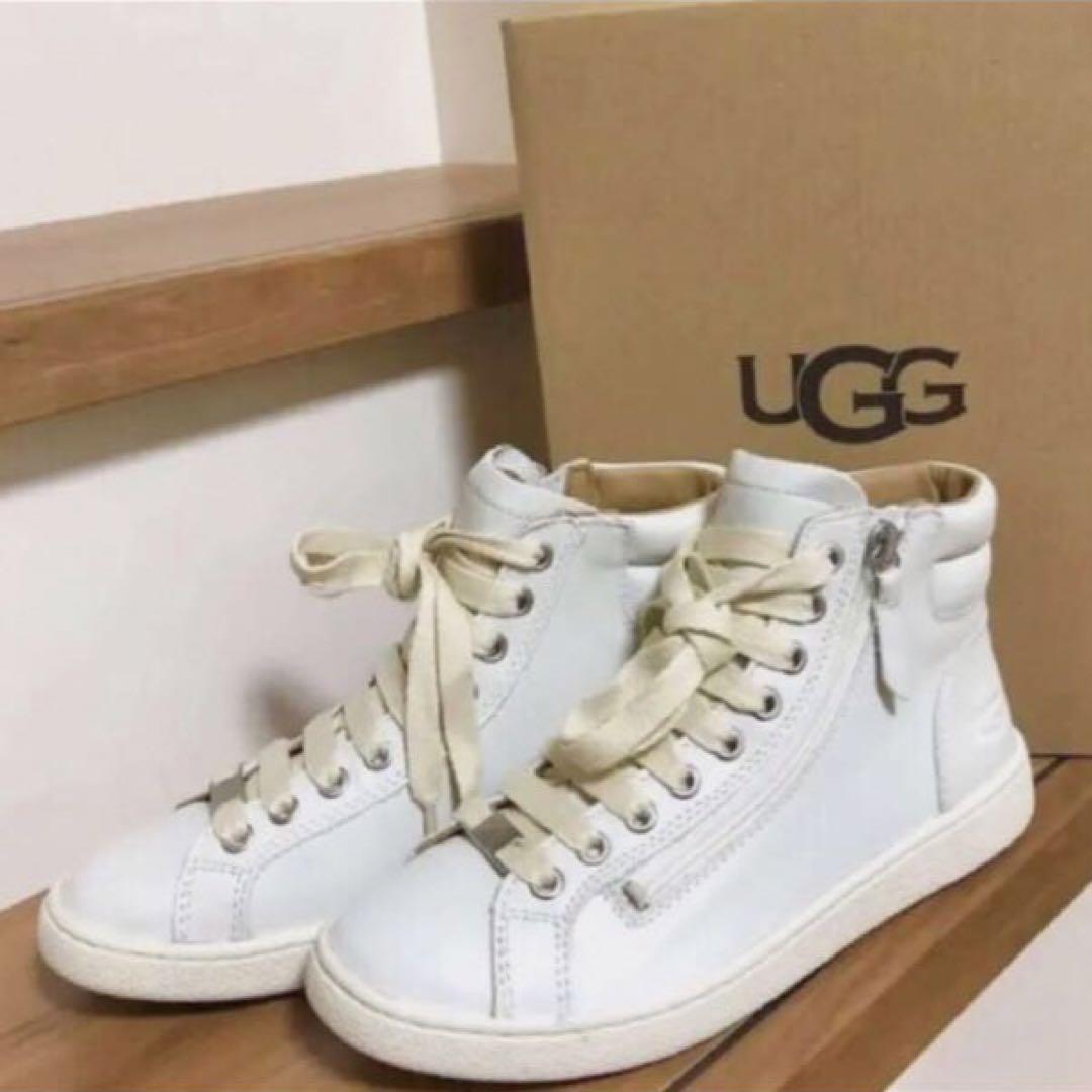 UGG ハイカットレザースニーカー 23cm 新品未使用 ※人気完売品希少