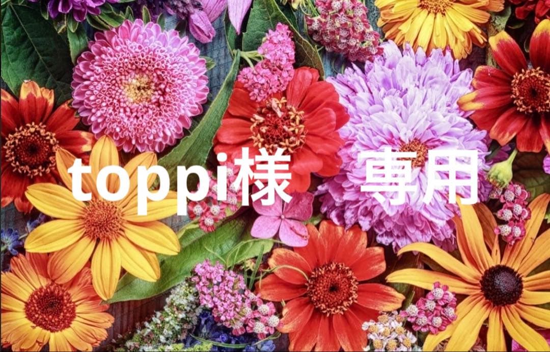 toppi様　専用　36
