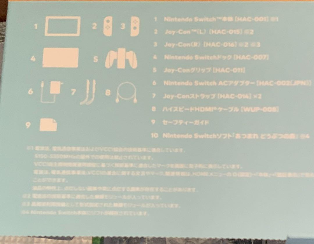 専用　ニンテンドースイッチ　あつ森　どうぶつの森　本体