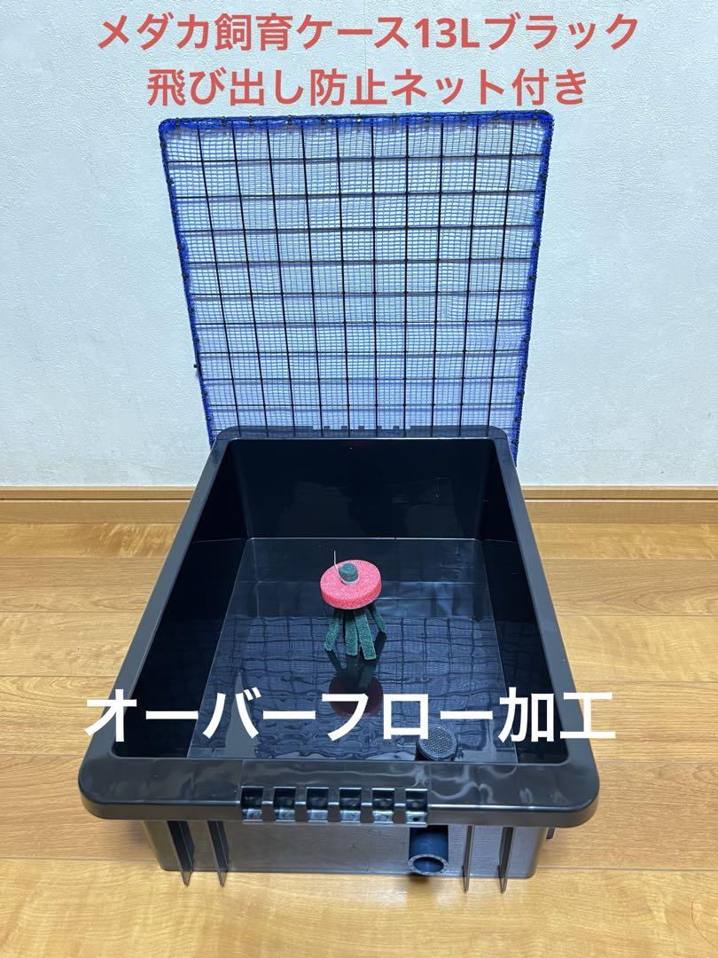 楽天市場】GEX メダカ元気 快適繁殖ケース L めだか 屋外