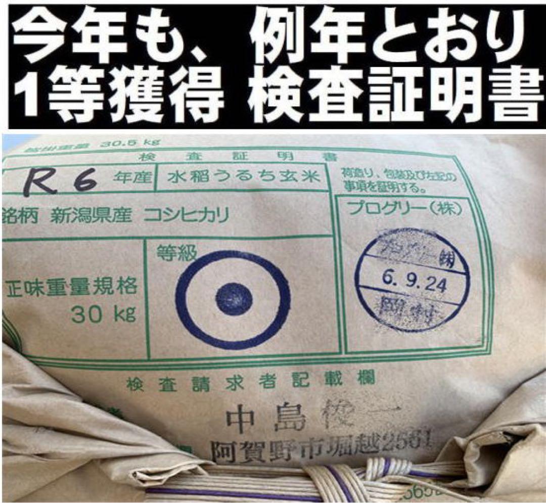 新米　令和6年産新潟コシヒカリ30kg（10k×3）精米無料★農家直送色選済14