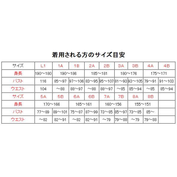 陸上自衛隊 リップストップ 迷彩服 ３Ｂ