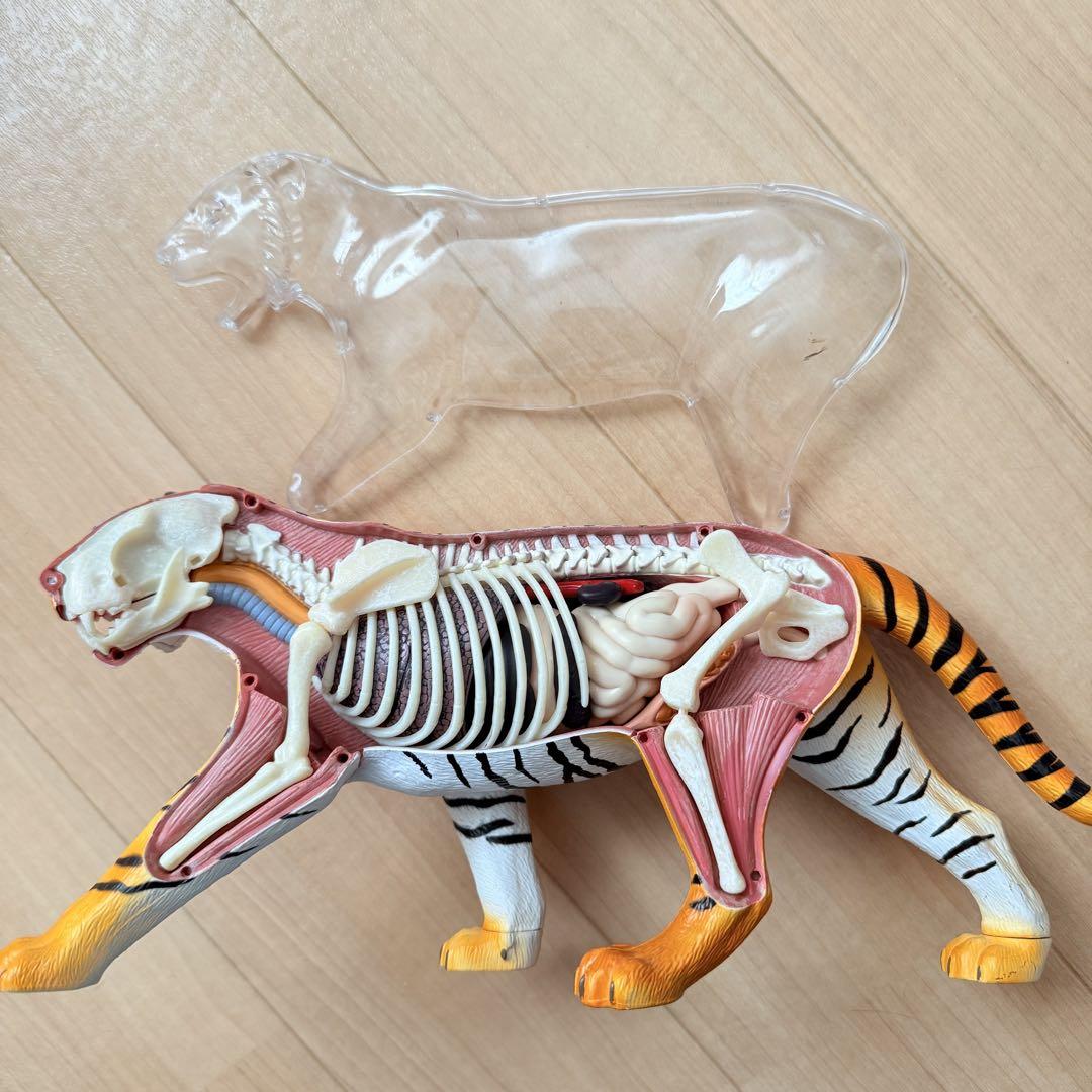 スカイネット 立体パズル 4D 動物解剖 馬 虎 模型 ジャンク