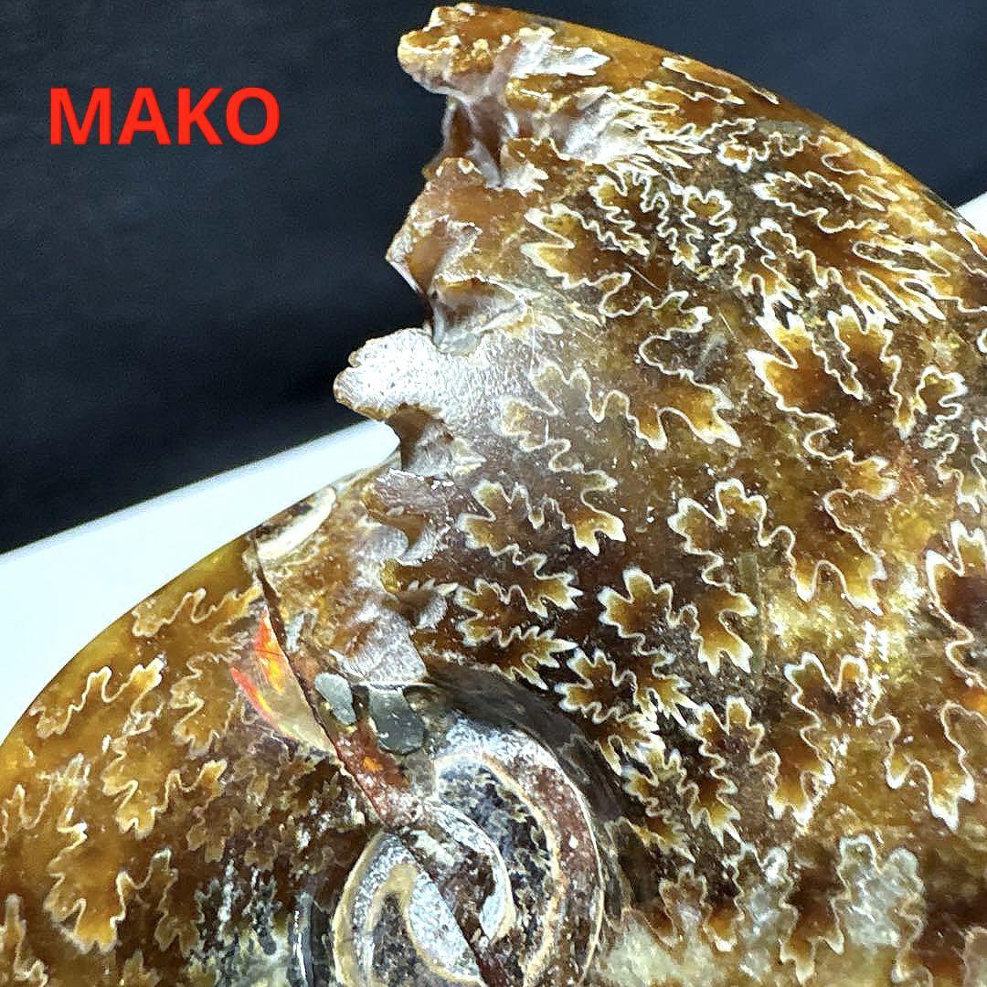 M1645☆ 縫合線オパールアンモナイト化石173g☆天然石 原石 化石