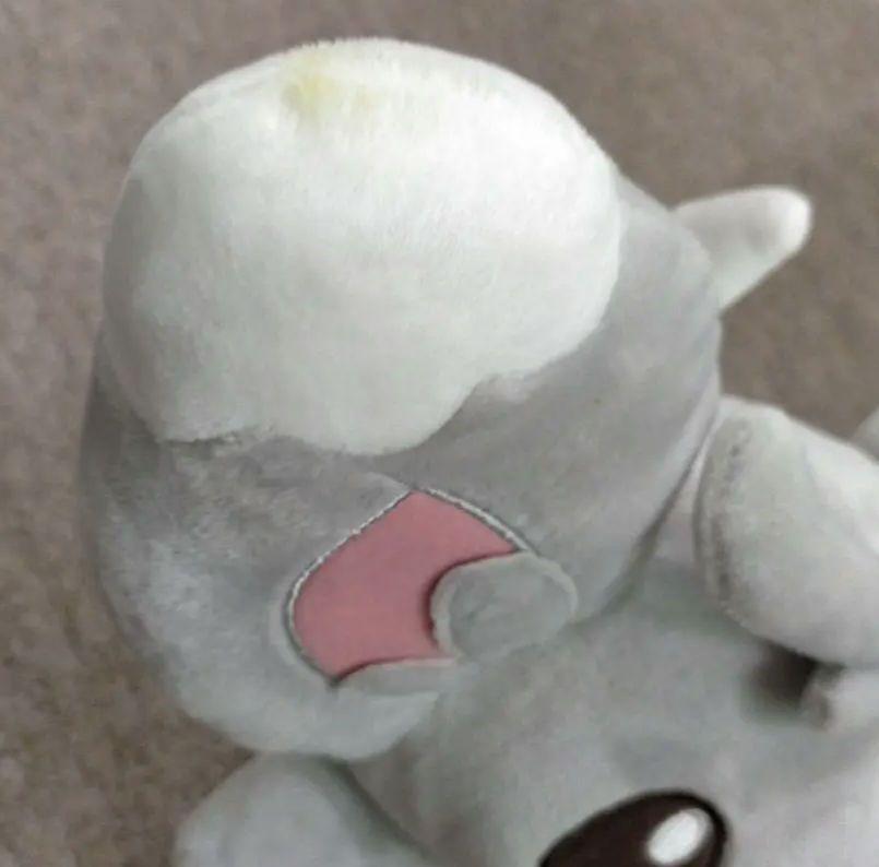 いっしょにおはなしチラーミィ ポケモンぬいぐるみ タカラトミー