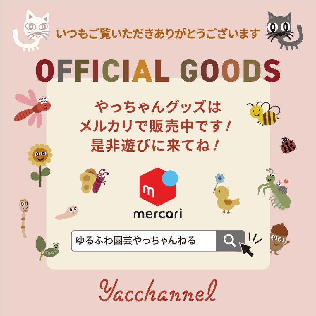 □New やっちゃんねるカレンダー2025 1冊 - メルカリ