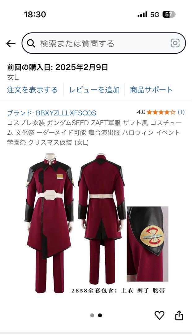 機動戦士ガンダムSEED 赤服 アスランウイッグ付 - メルカリ