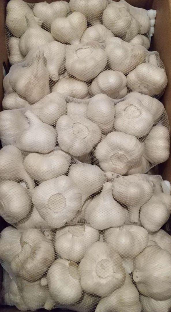 にんにく Lサイズ3kg L50u8-m96288490485 青森県産 新作高評価