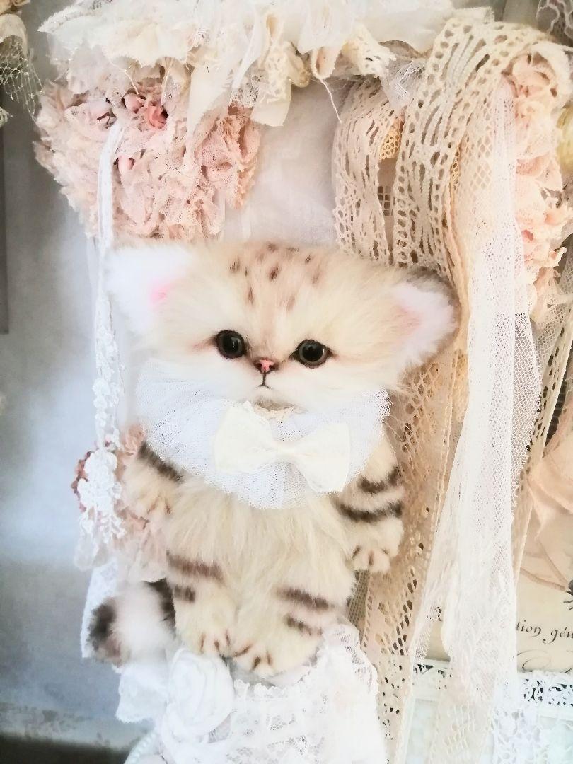 ポッケにゃん♡スナネコちゃん♡ぬいぐるみ♡ハンドメイド♡猫♡お出かけ～♪