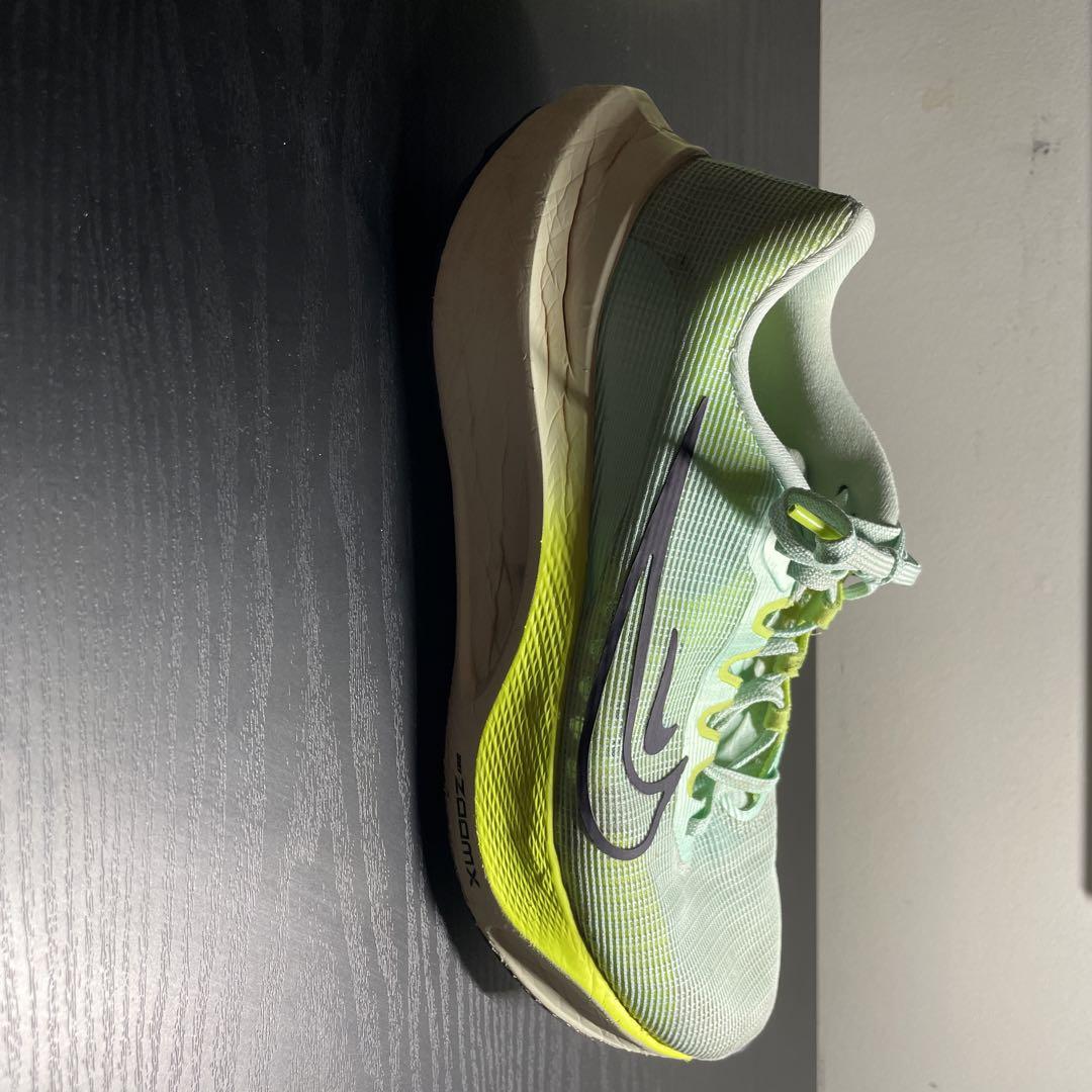 Nike エヤズームフライ5