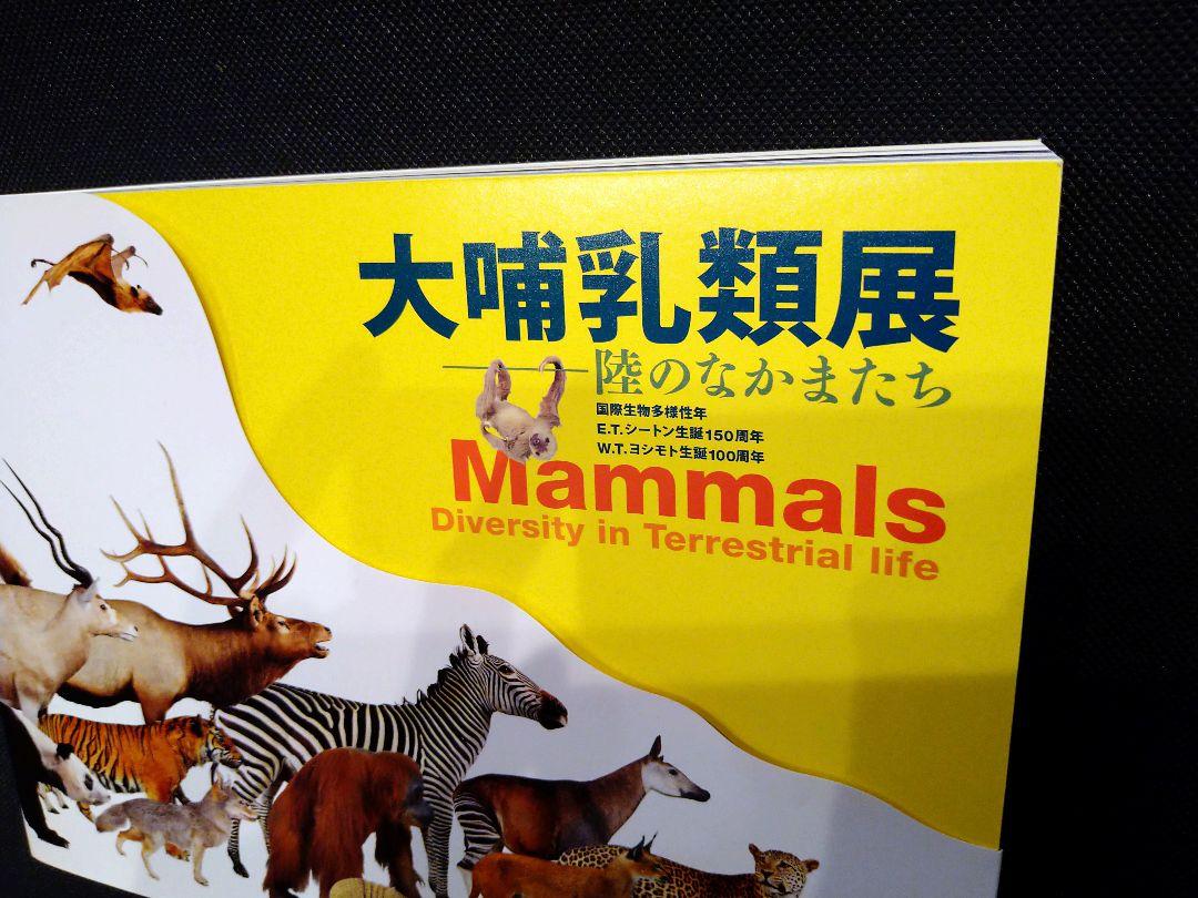 大哺乳類展　セット