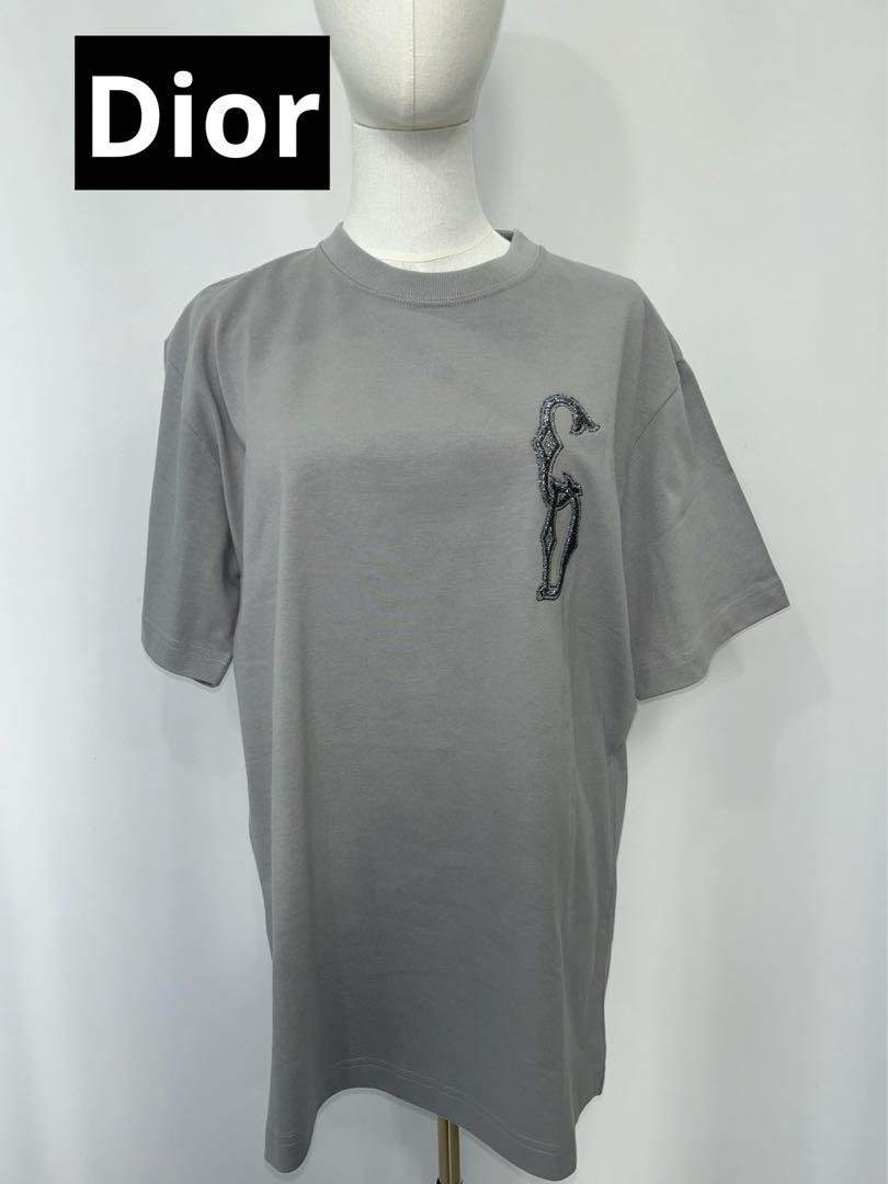 Dior Tシャツ
