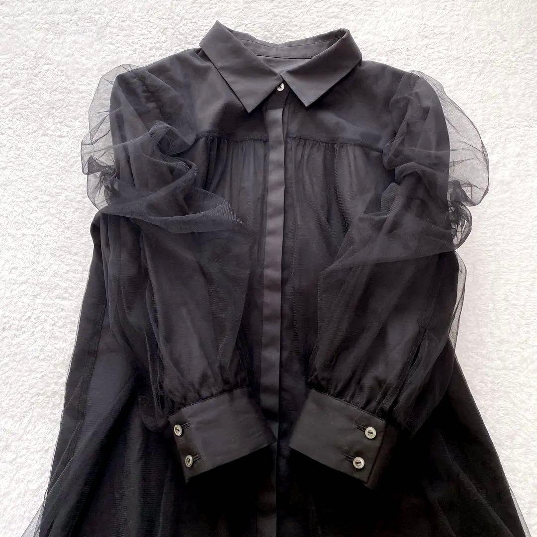 ✨極美品✨24SS ANAYI アナイ ブロードXチュールパフ袖 ブラウス シア ✨極美品✨24SS ANAYI アナイ ブロードXチュールパフ袖 ブラウス シア