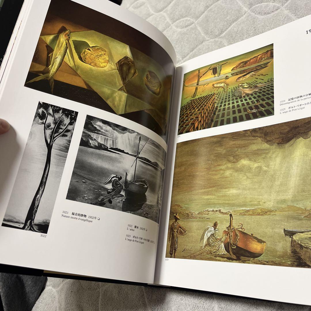 DALI L'œuvre peint 2巻セット　ダリ全画集 ダリ画集 全2巻 ダリ25周年
