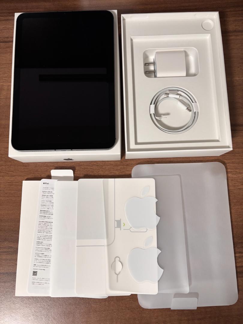iPad mini