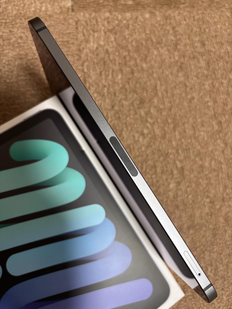 iPad