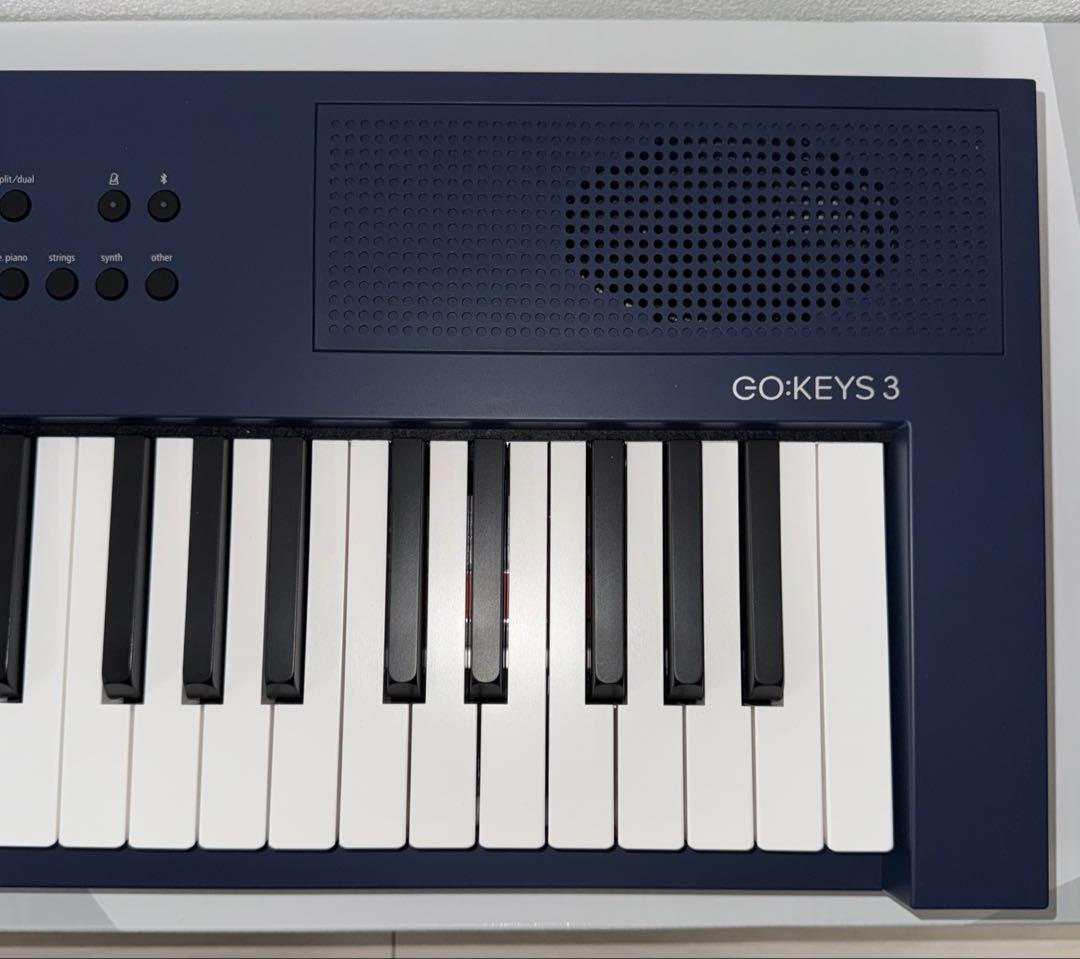 Roland GO