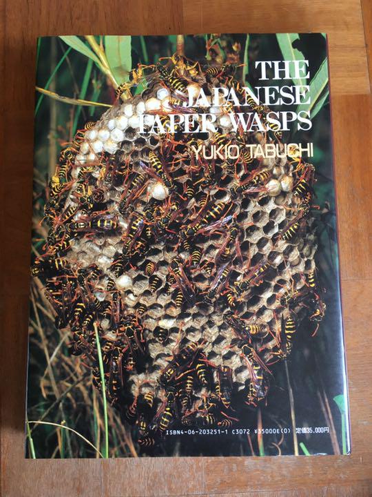 アシナガバチ 日本産全種生態 田淵行男 1988年 初版
