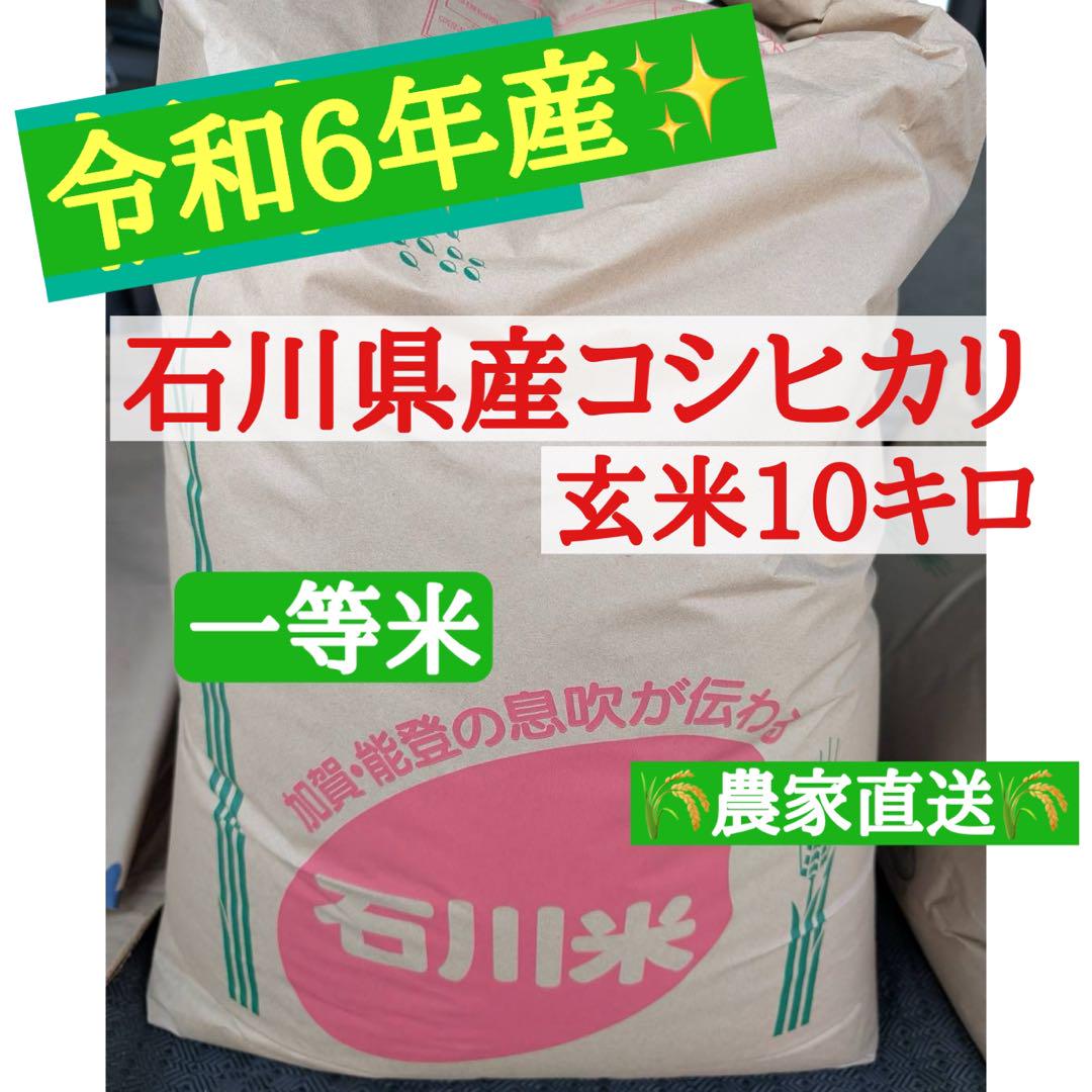令和6年石川県産 農家のお米 こしひかり 玄米 10キロ