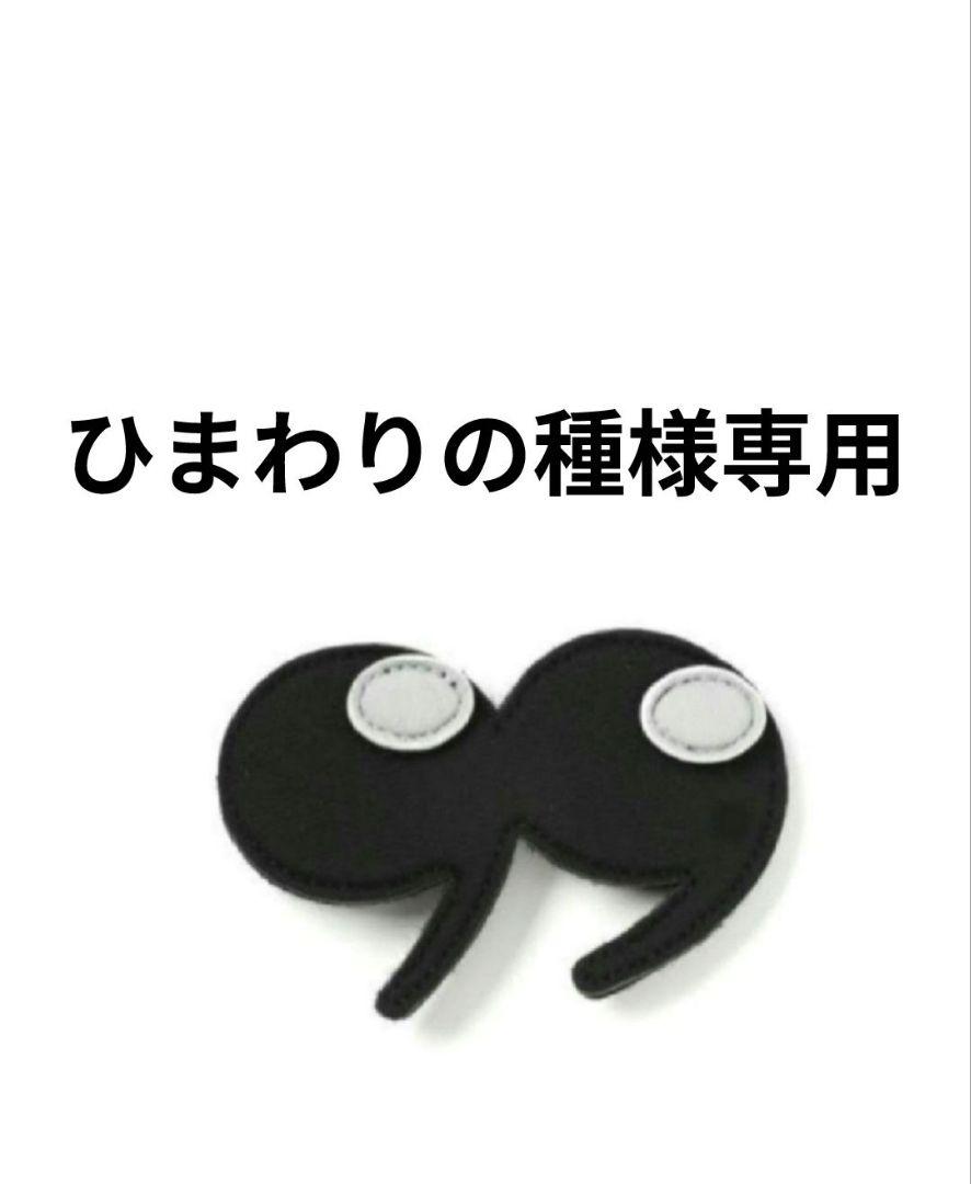 ひまわりの種様