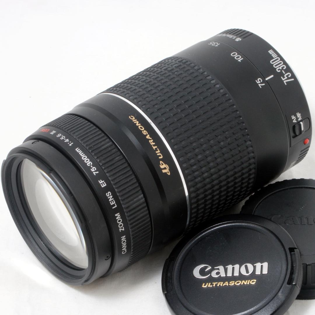 超美品 Canon キャノン EF 75-300mm USM II Used Canon EF 75-300mm f/4-5.6 II USM | MPB