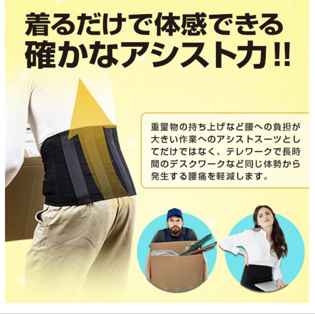 腰痛ベルト〜ラクニナール〜3Lサイズ　新品