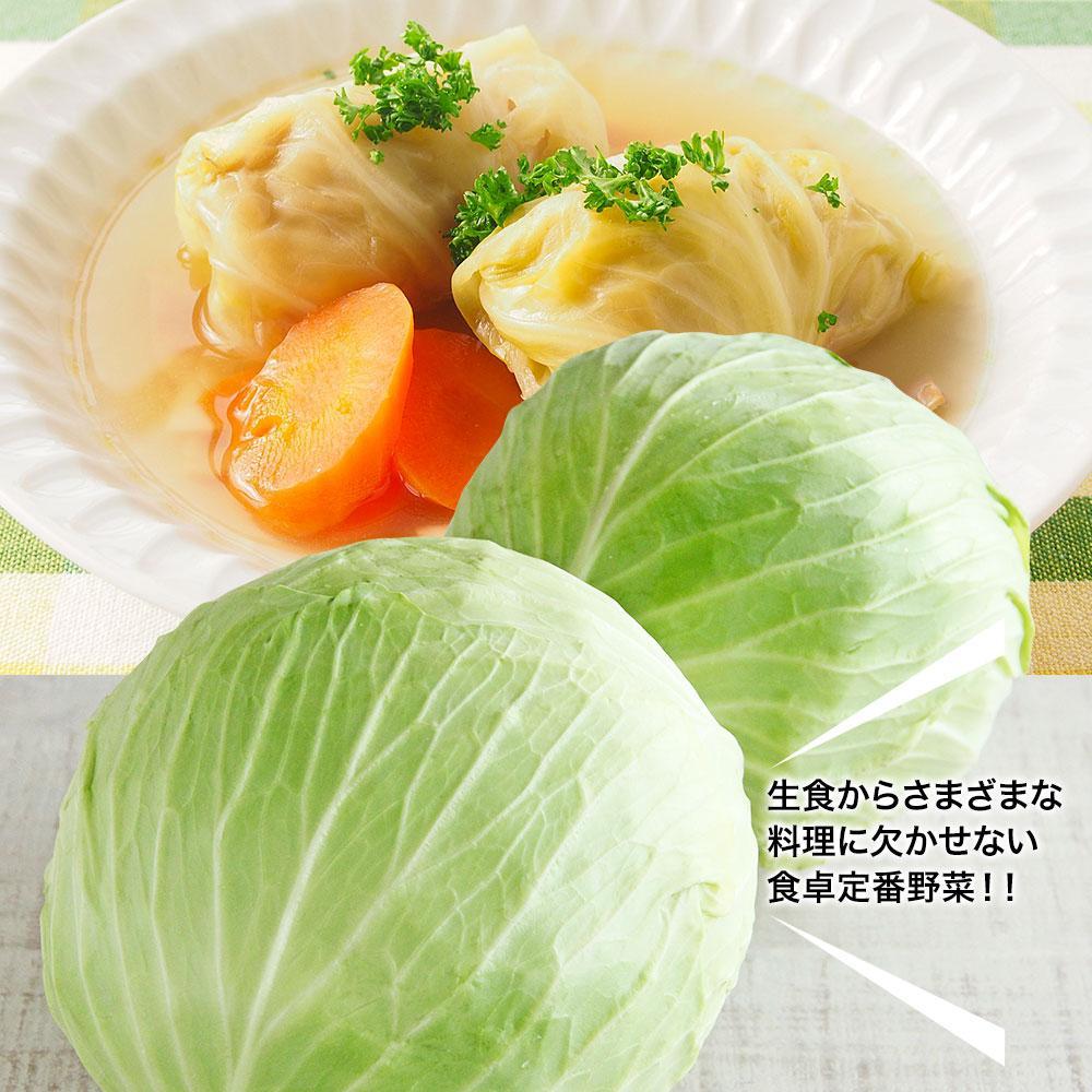 野菜セットC キャベツ3玉・新玉ねぎ・にんじん約3kg・ピーマン約1.5kg