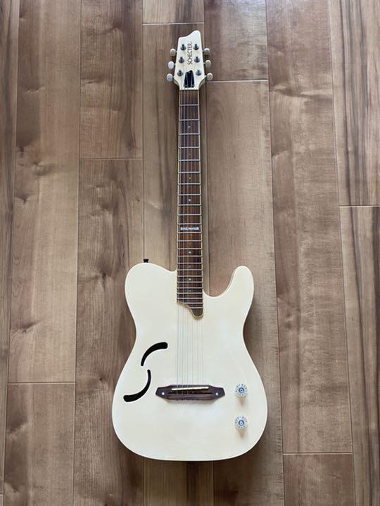SCHECTER FA-TL FLORIDA
