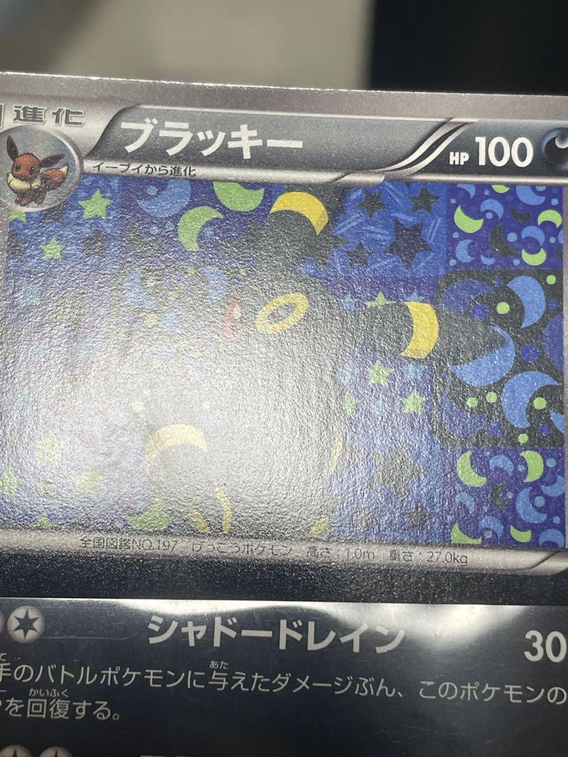 ブラッキー プロモ イーブイコレクション 188/BW-P promo ブラック