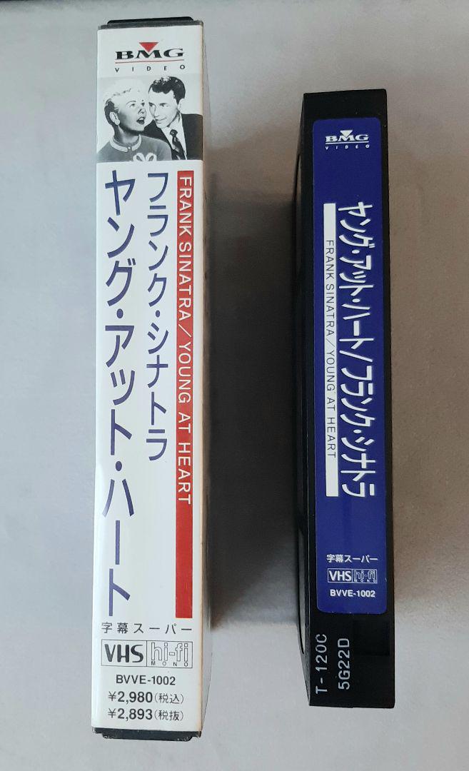ヤング・ブラッドメン　VHS　字幕版 日本語吹替版 VHS レネゲイズ キーファー・サザーランド 田中