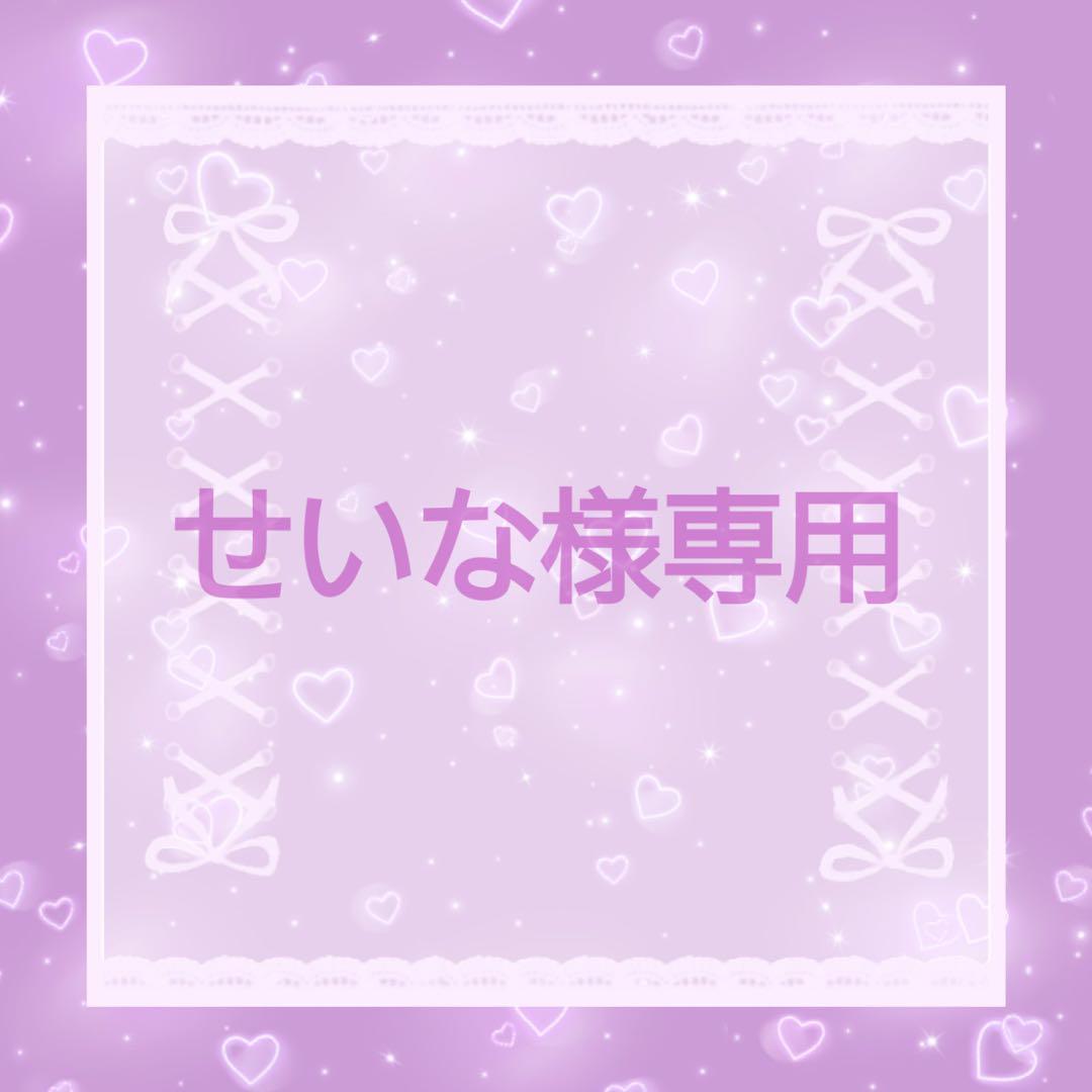 せいな様専用♡