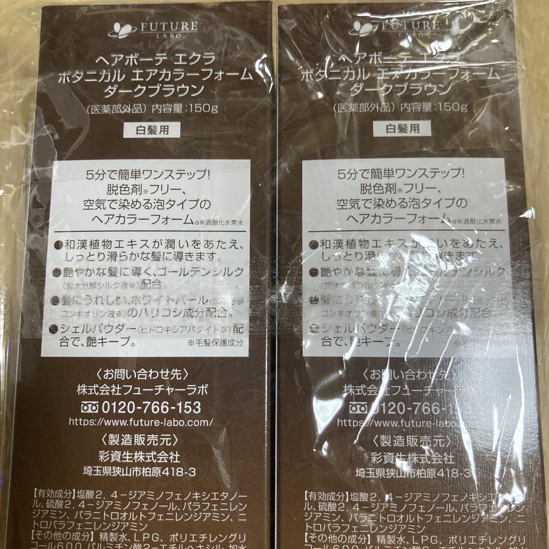 ヘアボーテ　エクラ　ボタニカルエアカラーフォーム　ダークブラウン　2個　セット