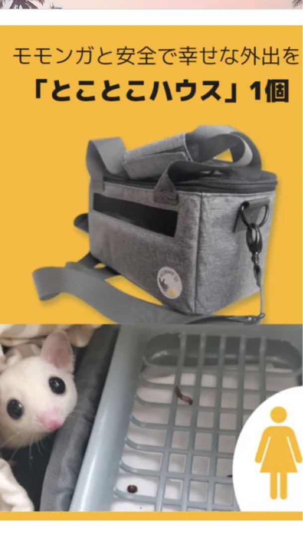 フクロモモンガ飼育用 一式セット（のびも15 - メルカリ