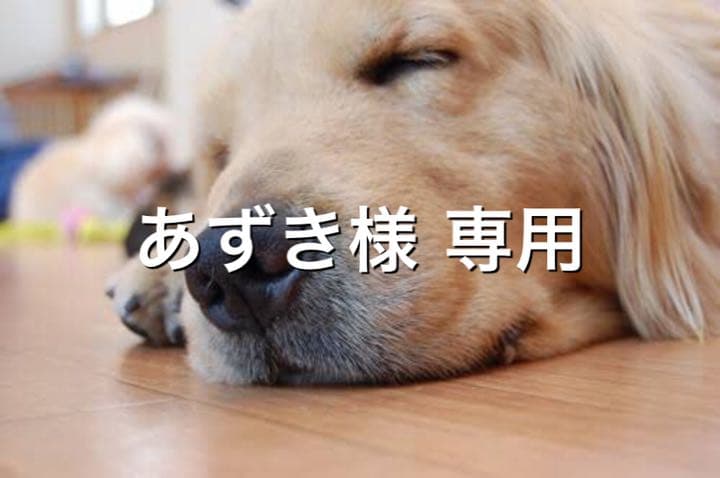 BRUNO ホットプレートグランデサイズ BOE026-RD レッド - drenioaraujo