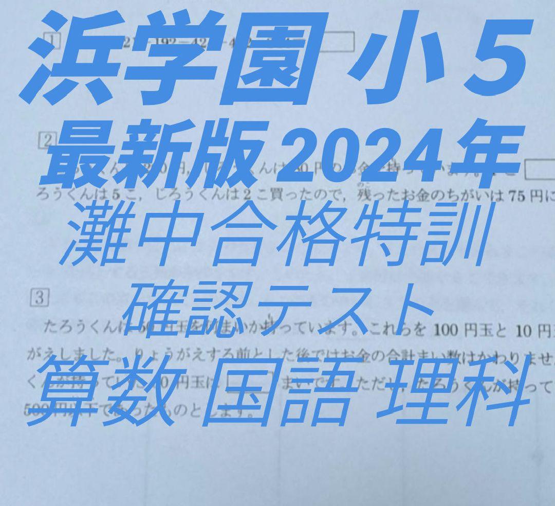 浜学園 小5 灘中合格特訓 灘合 算数 テキスト 1年分 解答解説付き 浜学園 小5 灘中合格特訓 灘合 算数 テキスト 1年分 解答解説付き