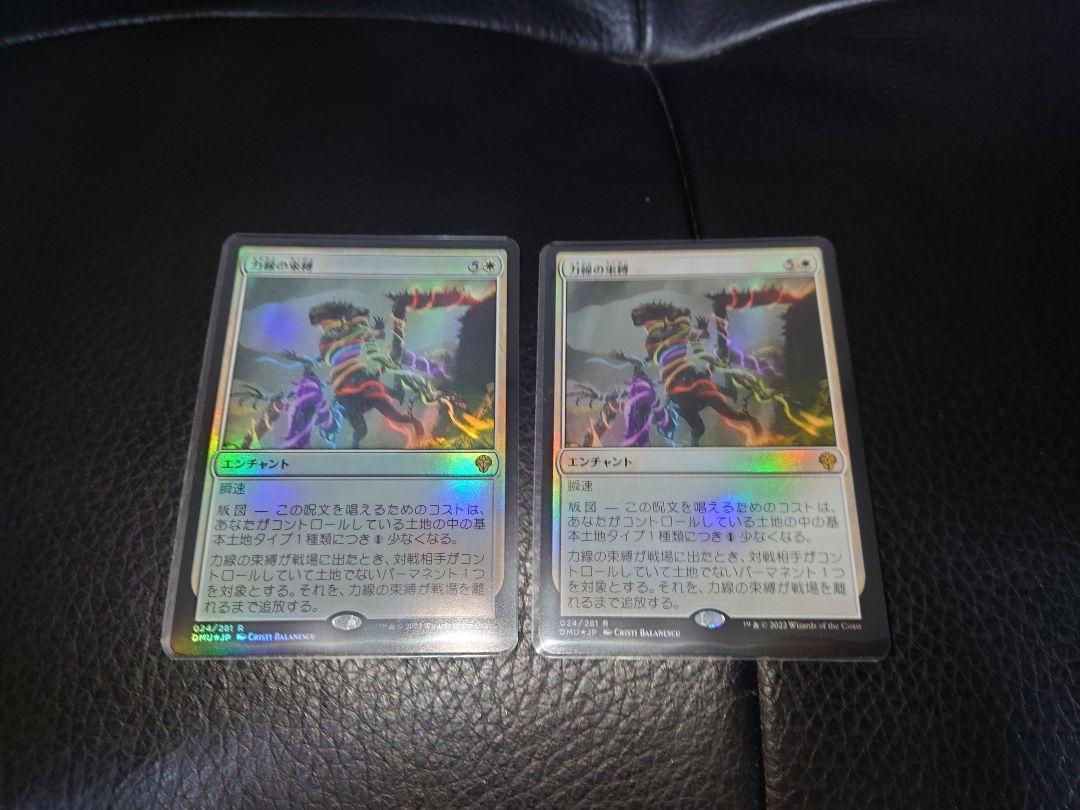 力線の束縛 Foil 団結のドミナリア 2枚セット