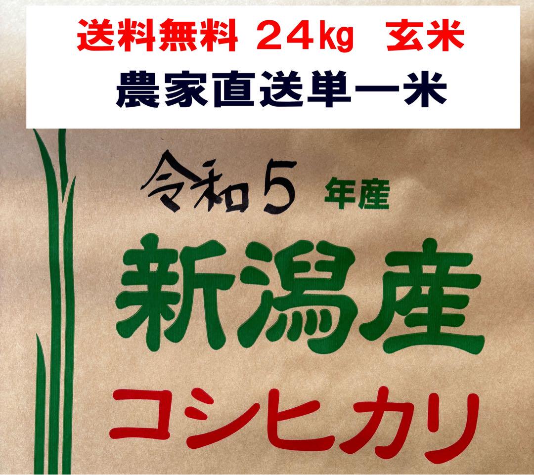 令和5年新潟県産コシヒカリ24Kg玄米