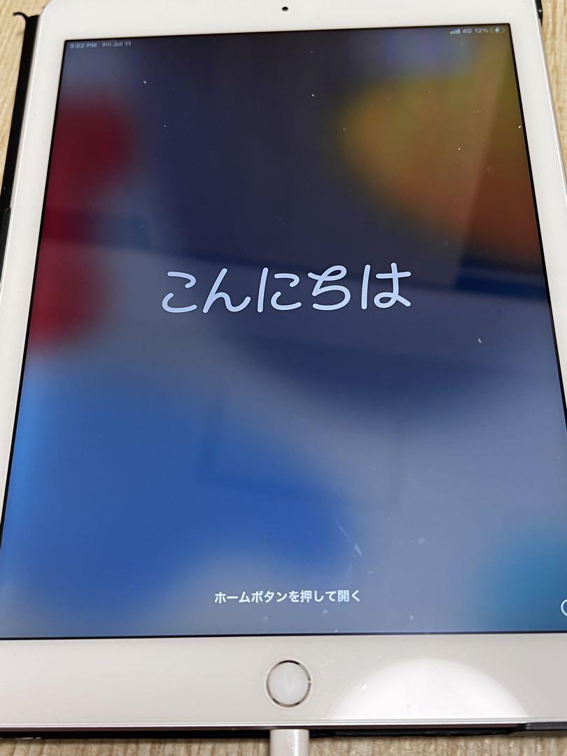 iPad Air2 第2世代 16GB A1567 ケース付き スペースグレイ