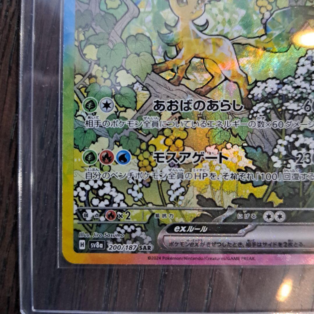 【新品】リーフィアex SAR